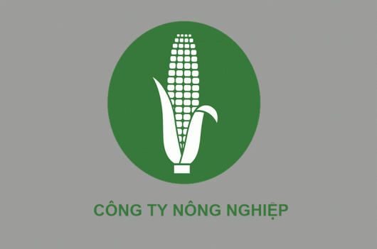 Công ty TNHH FES Việt Nam tuyển kế toán lương 15 triệu